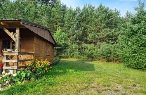Lipusz Maison | Domek holenderski - drewniany w centrum Kaszub