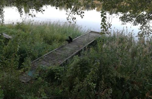 Lack Cabine | Domek letniskowy nad jeziorem