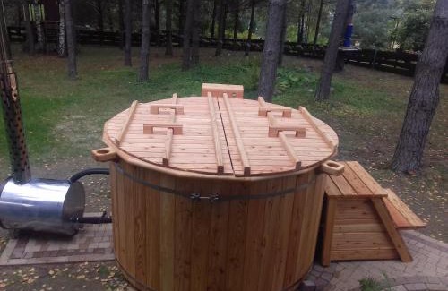 Rybno Cabine | Domek nad jeziorem Rumian