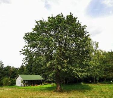 Konopiska Cabine | Domek Park Korzonek