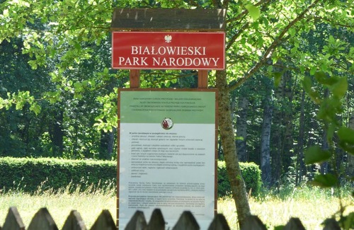 Narewka Cabine | Domek przy Wilczym Szlaku