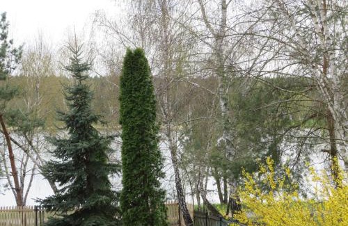Zwierzyniec Cabine | Domek u Jadzi