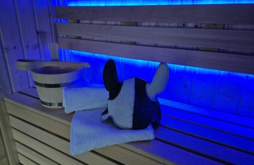 Grodek Nad Dunajcem Chalet De Ski | Domek Viking z prywatnym ogrzewanym basenem sauną oraz balią z jacuzzi
