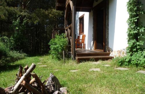 Krokowa Maison | Domek w Sosnowym Lesie