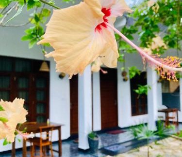 Weligama Hôtel | Domicio Surf Resort