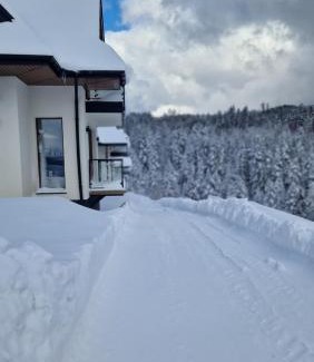 Nowy Targ Chalet De Ski | Domki Wilcze Pole