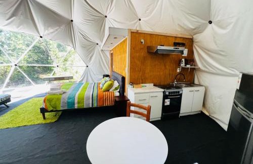 Hornopiren National Park Appartement | Domo Panigal