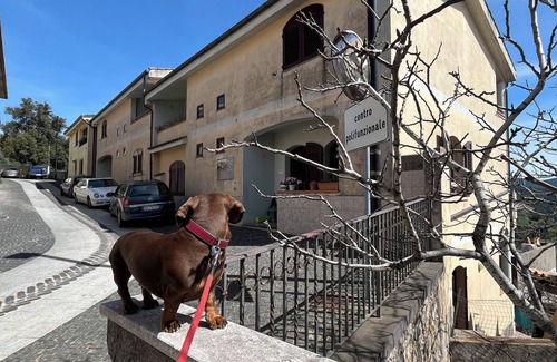Seulo Appartement | Domu Seulo