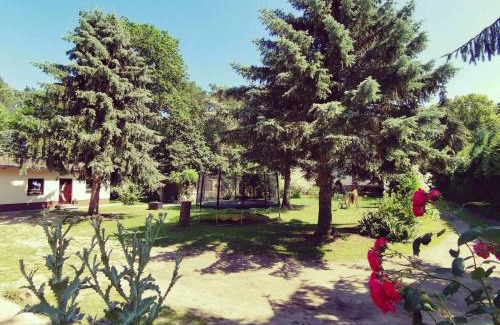 Bannemin Appartement | Doppelhaushälfte Nordwind vom Naturhof Usedom