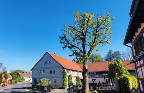 Bermuthshain Appartement | Doppelzimmer mit Frühstück