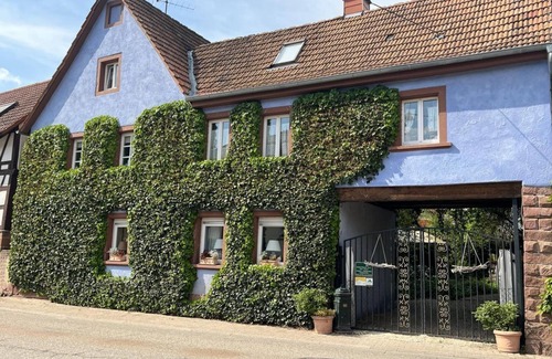 Silz Appartement | Doppelzimmer - Schönbachhof