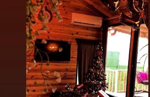 Sapanca Chalet De Ski | Dorabungalov