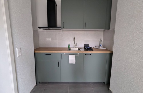 Lauta Appartement | Dorfaue - Holiday home Sydom with two apartments