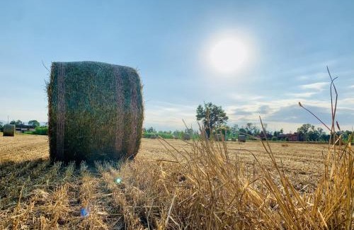 Savigliano Maison | DorMire
