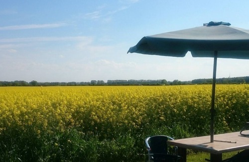 Elmenhorst/Lichtenhagen Appartement | holiday apartment/apt. for 3 guests with 30m² in Elmenhorst/Lichtenhagen (156977)