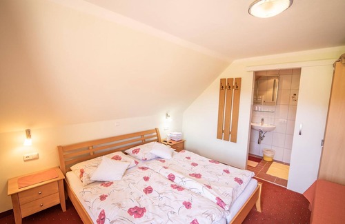 Spital am Pyhrn Cottage | Chambre double II avec douche, toilettes, par exemple - Gasthaus Kaspar