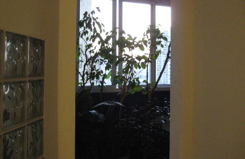 Lapa Appartement | DOUBLE ROOM IN ALTO DA LAPA IN RESIDENCE