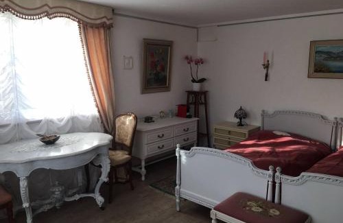 Brugg Maison | Double room in nice house near the forest (basement floor)