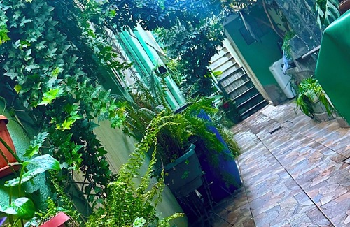 Cochabamba Maison | Double room with queen size bed and sofa bed, terrace and plants