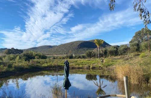Breede Valley Chalet De Ski | Dove Cottage at Rhebokskraal Olive Estate