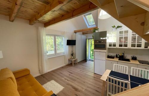 Wiele Appartement | Dowiośnie - domek w Wielu