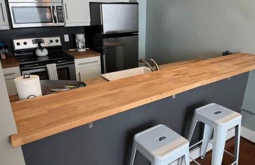 Roanoke Appartement | Downtown 1st Floor Apt Walk to Breweries Food