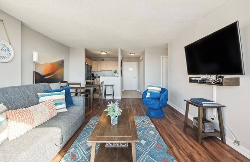 South Loop Copropriété | Downtown MICH AVE #20, Grant Park, Museums 2bd/2ba