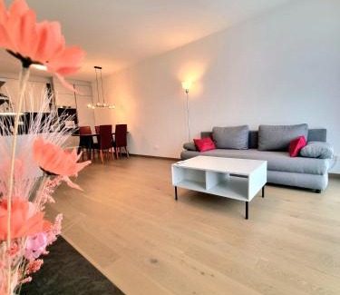 Nivy Appartement | Downtown New Apartment Free Parking