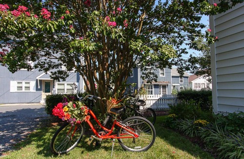Oxford Maison | Memory Lane - Cottage de charme au coeur d'Oxford, vélos disponibles, animaux de compagnie bienvenus!