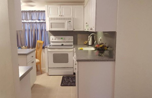 Safety Harbor Maison | Downtown Safety Harbor 2 Bed 1 Bath Pool Home, 20 minutes from Clearwater beach