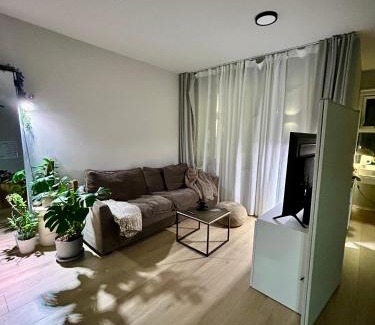 Teigar Appartement | Downtown studio by the sea