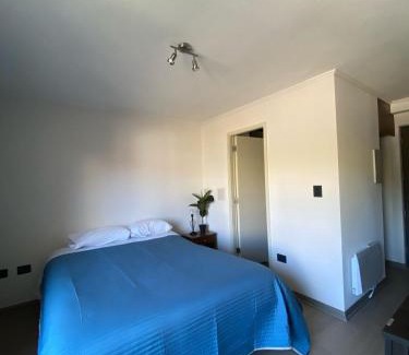 Concepcion Appartement | Dpto homestudio conce centro