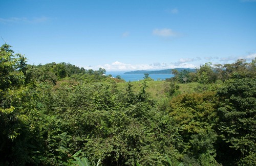 Drake Bay Hôtel | Drake Bay Greenleaf