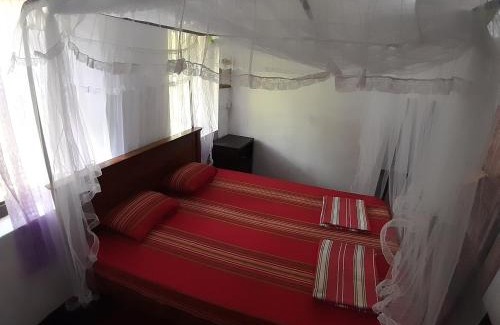 Midigama Maison | Dreams Garden Surf Lodge
