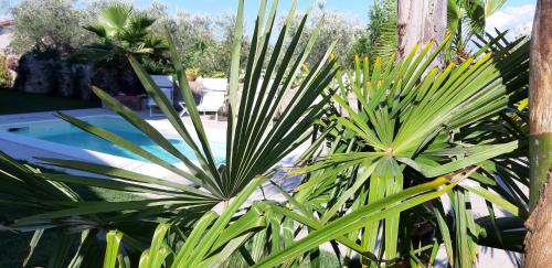 La Spezia Maison | Dreams Guest House