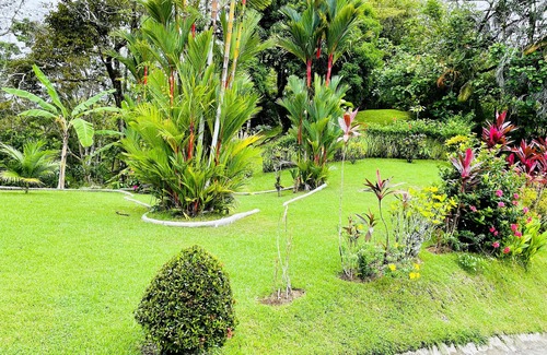 Manuel Antonio Appartement | Dreams of love a place full of wonders and peace.