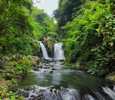 Sukasada Maison | Dreamy Eco Tree House by 7 Waterfalls