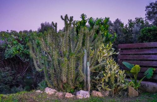 Paliki Maison | Dreamy Wooden Cottage Lixouri