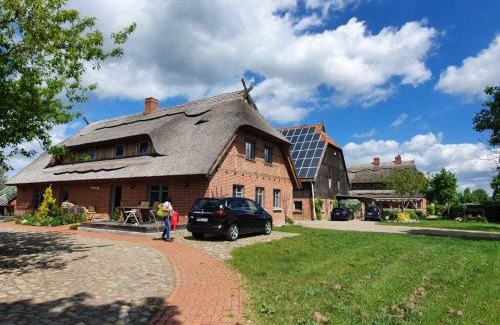 Malchin Appartement | Dreiurtshof