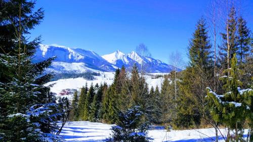Bachledova dolina Chalet De Ski | Drevenica Goralský Dvor