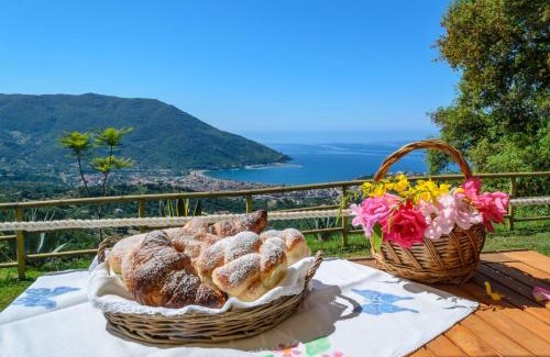 Torraca Lit Et Petit-Déjeuner | Driùs edodè - b&b affittacamere
