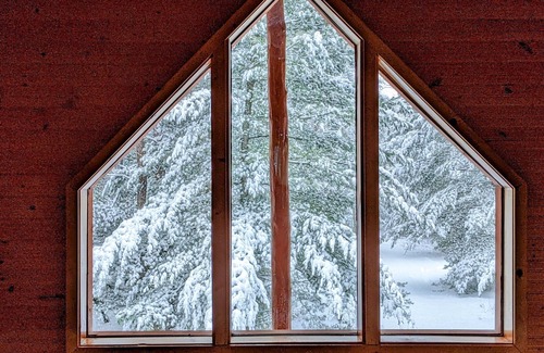 Lone Rock Cabine | 🌲Driftless Chalet🌲 Secluded 2BR cabin on 5 wooded acres