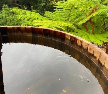 East Ballina Appartement | DRIFTWOOD- Hidden Gem, great view in a nature setting