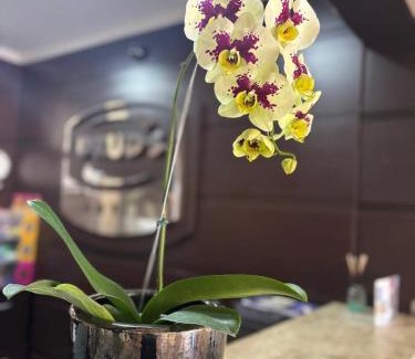 Tres Lagoas Hôtel | Druds Hotel