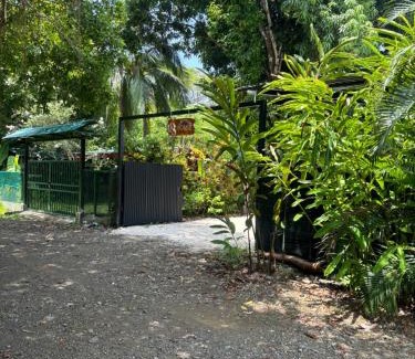 Cabuya Autre | DS House
