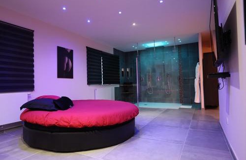 Plateau de Haye Lit Et Petit-Déjeuner | Ds Plaisir Love Room avec sauna, jacuzzi à Nancy