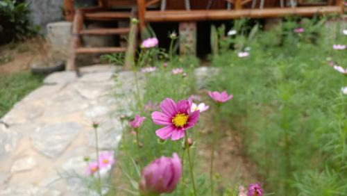 Yen Minh Maison | Du Gia Wooden Homestay