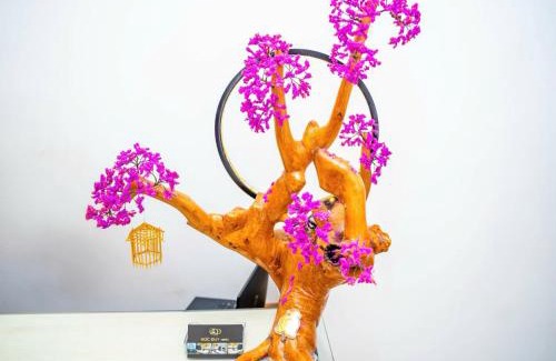 Cat Hai Hôtel | Duc Duy Hotel Cat Ba
