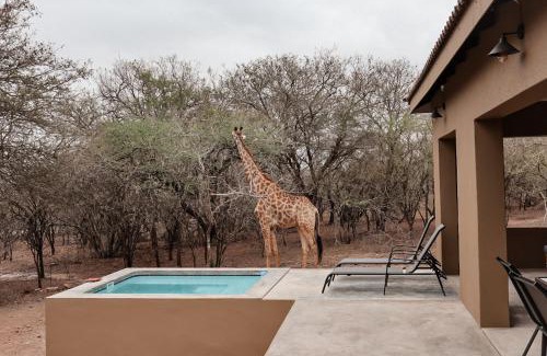 Marloth Park Appartement | Dung Beetle Bush Villa