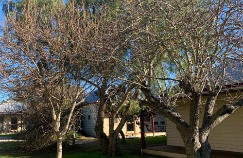 Dunkeld Hôtel | Dunkeld Village Accommodation - formally Dunkeld Studio Accommodation